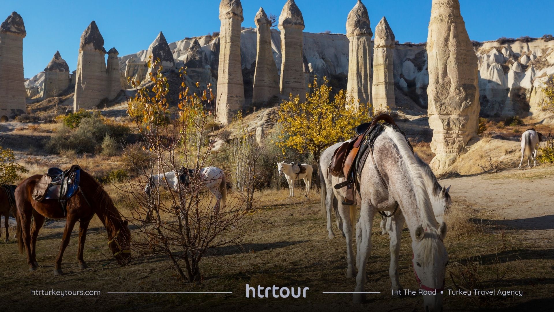 cappadocia horse rirding